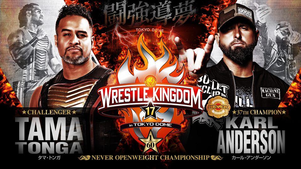 wrestle kingdom never
