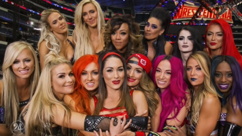 Ex-WWE Total Divas Star Signs Up For Bare Knuckle Fighting – TJR Wrestling