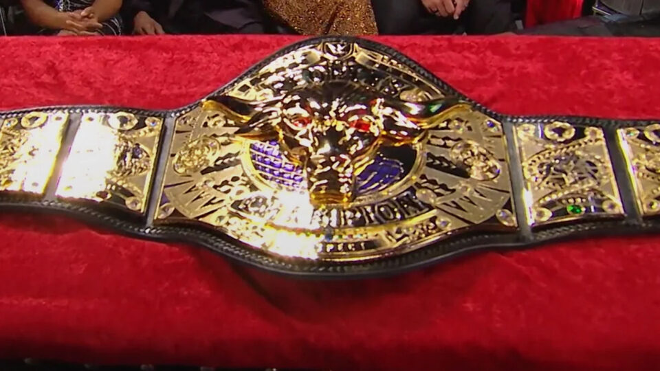 The Rock Peoples Champ title belt