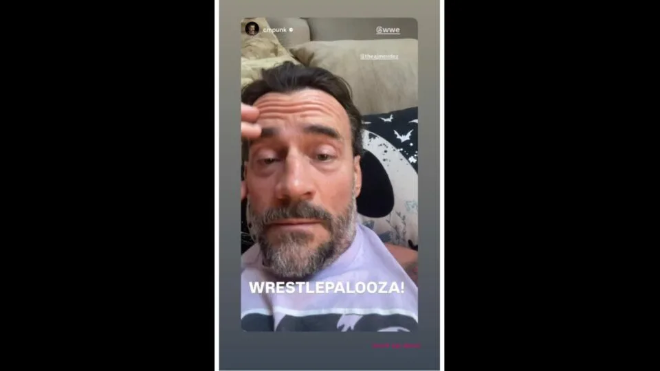 AJ Lee's response to CM Punk