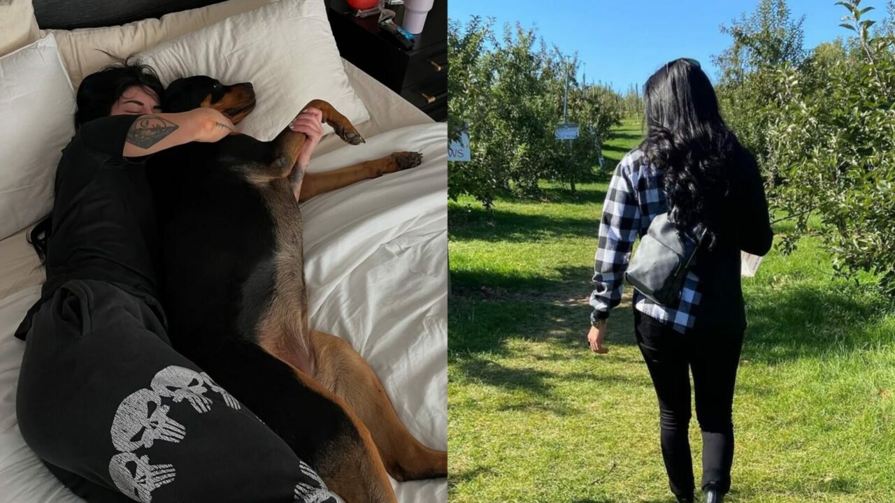 Sorry! Image not available at this time