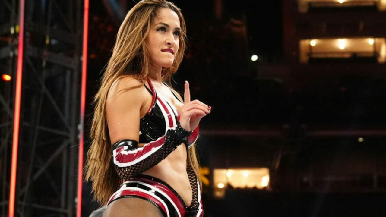 Nikki Bella Addresses Wrestling Future After WWE Contract Expires